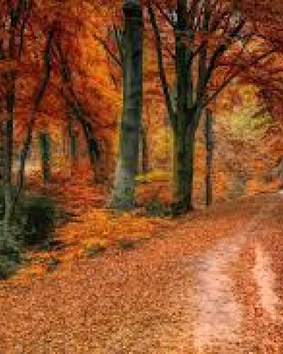 Herfstvakantie 11 t/m 19 oktober